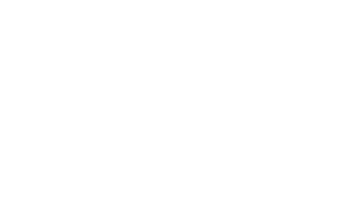 Логотип Evolution