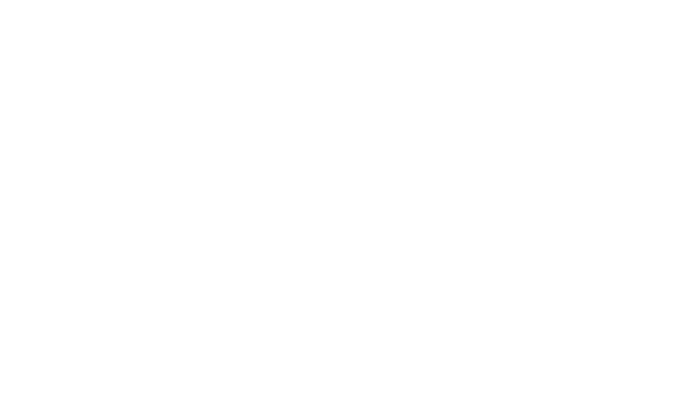 Логотип Play'n GO