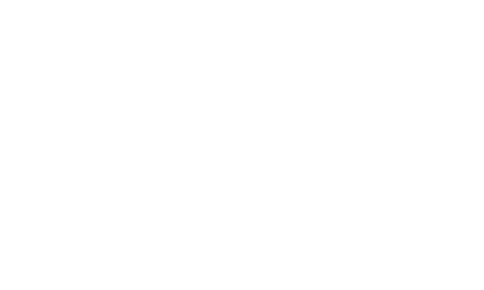 Логотип Playson