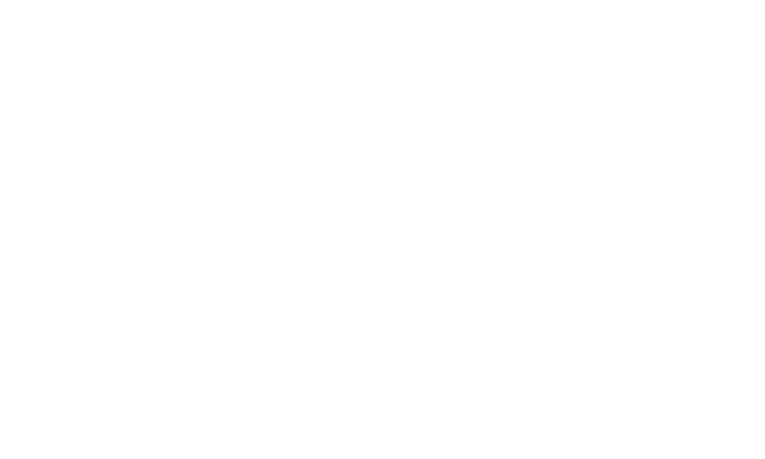 Логотип Swintt